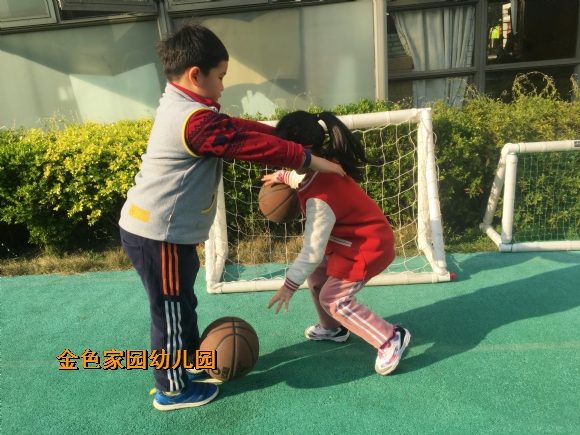 附件：IMG_6242.jpg