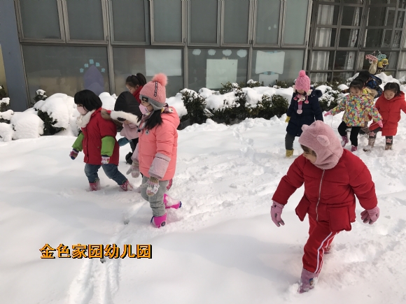 附件：IMG_0377.JPG