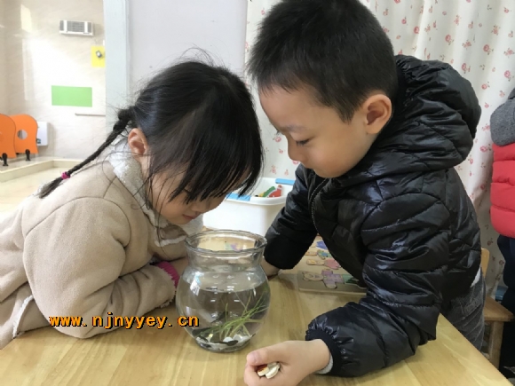 附件：1.jpg