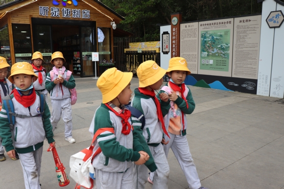 附件：IMG_1739.JPG