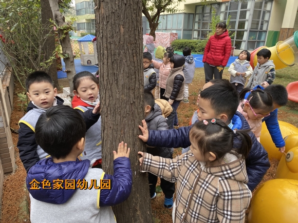 附件：IMG_4971.JPG
