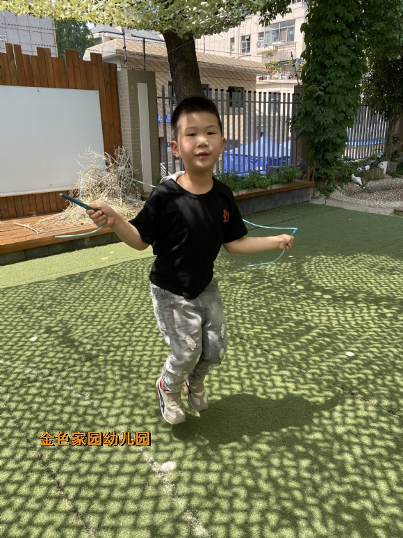 附件：IMG_8337.JPG