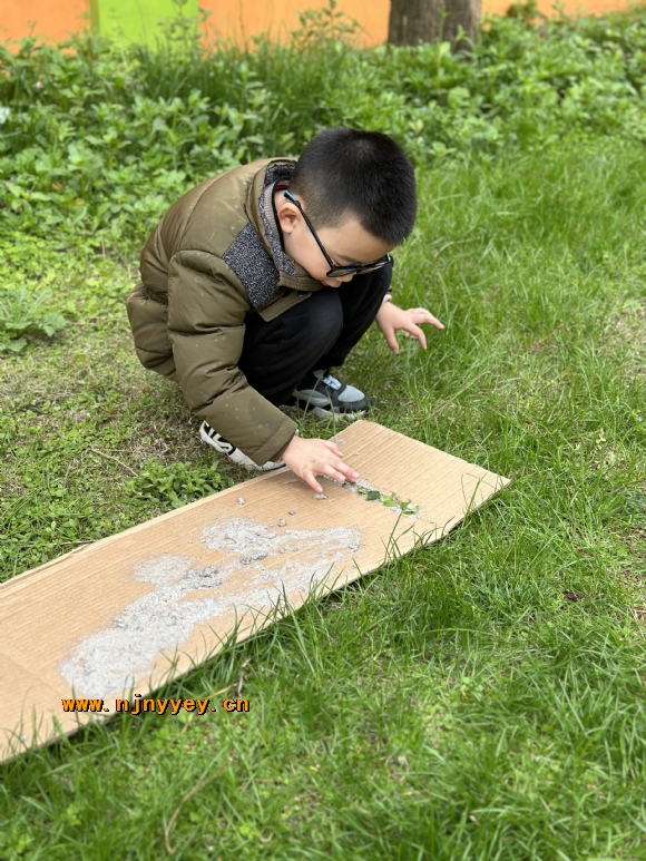 附件：IMG_1472(20230425-213442).JPG
