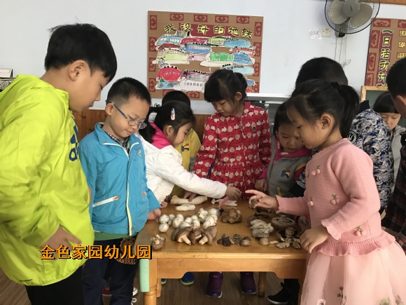 附件：IMG_7383.JPG