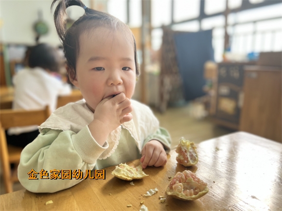 附件：IMG_5378.jpg