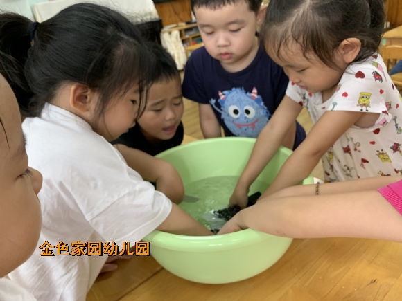 附件：IMG_2836.JPG