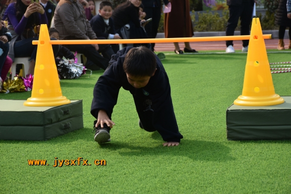 附件：DSC_3950_看图王.jpg
