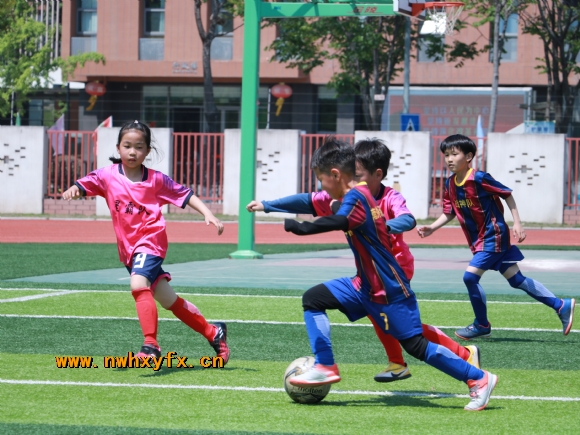 附件：IMG_4799.JPG