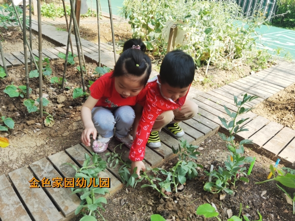 附件：IMG_20220507_094628.jpg