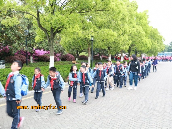 附件：QQ图片20190505000719.jpg