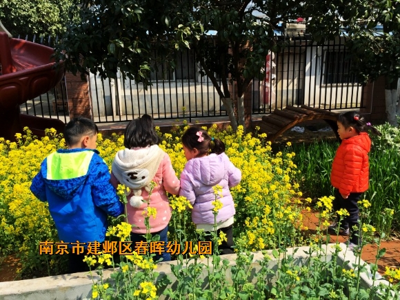 附件：conew_img_8492.jpg