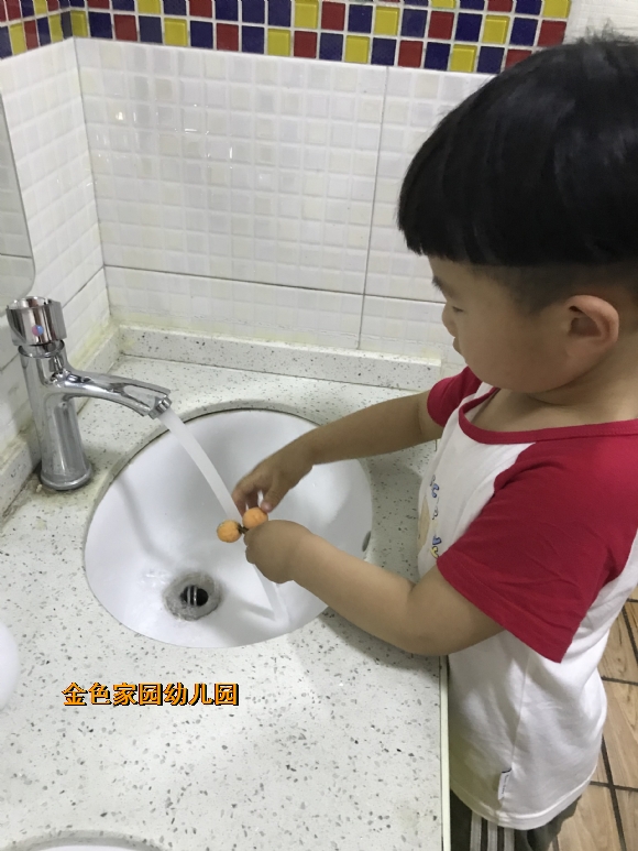 附件：IMG_8015.JPG