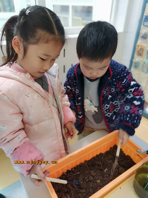附件：IMG_20210322_152031.jpg