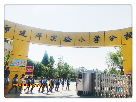 附件：IMG_8828.JPG