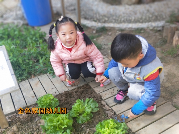 附件：8DCFCD4AE725A1691349EF5E164E433E.jpg