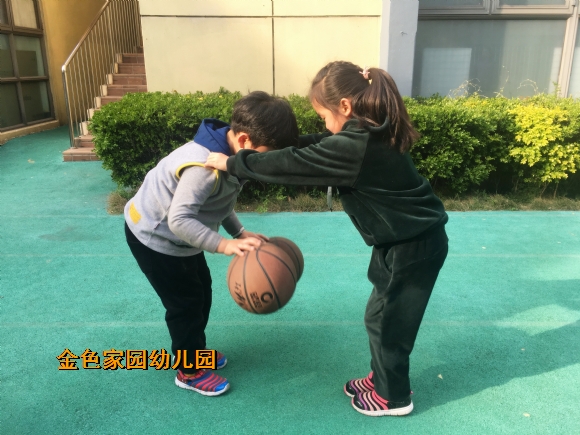 附件：IMG_6229.jpg