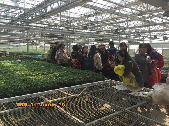附件：conew_img_0587.jpg