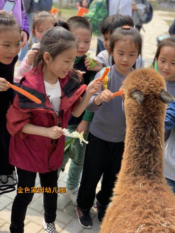 附件：6.jpg