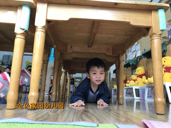 附件：IMG_8355.JPG