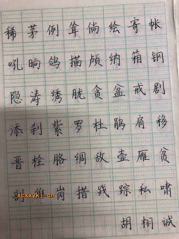 附件：IMG_3246.jpg
