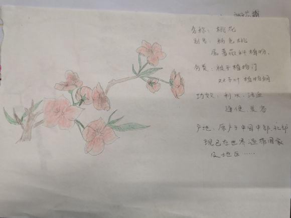 附件：QQ图片20210620072438.jpg