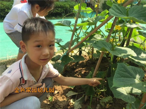附件：新建文件夹IMG_3694.jpg
