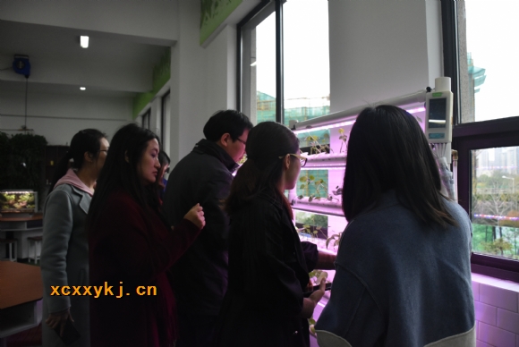 附件：DSC_3172.jpg