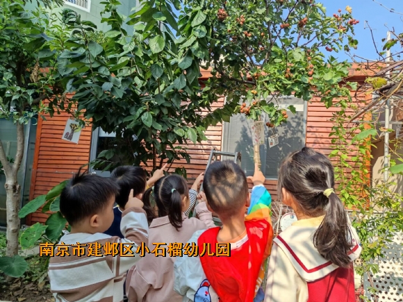 附件：QQ图片20231017091553.jpg
