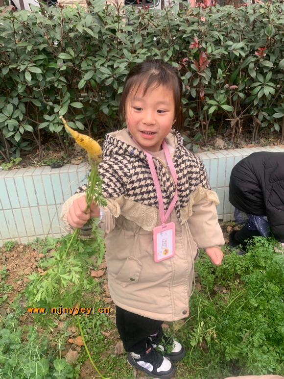 附件：IMG_4811(20220113-084958).JPG