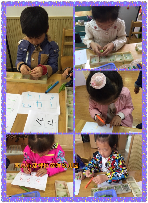 附件：IMG_5988.JPG