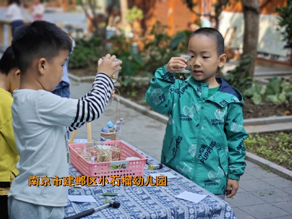 附件：FBEC45863C1CF56DA9800FA1409F0109.jpg