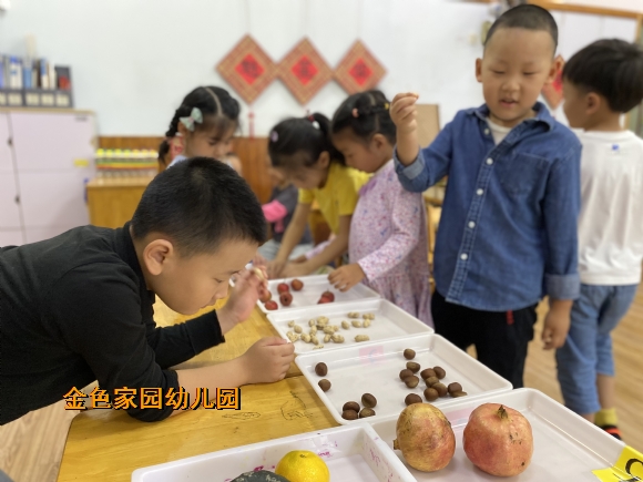 附件：IMG_3152.JPG