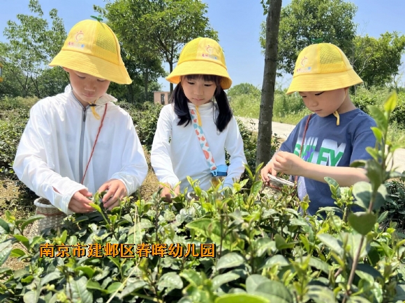 附件：QQ图片20240519102934.jpg
