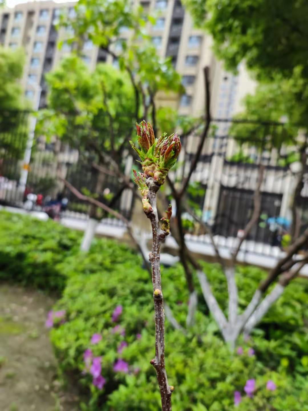 20210414152247090.jpg 微信图片_20210414151955.jpg