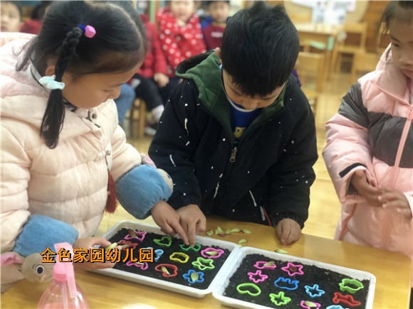 附件：IMG_4246.jpg