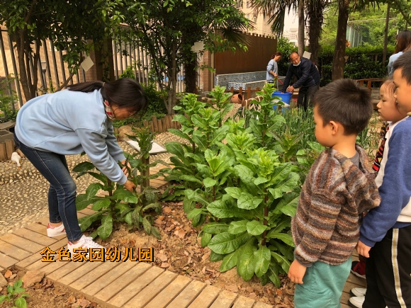 附件：IMG_8260(20210422-134147).JPG