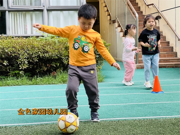 附件：IMG_6011.JPG
