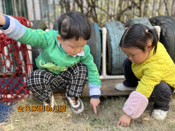 附件：9df525ddea92ea776474ef3f72ca121.jpg