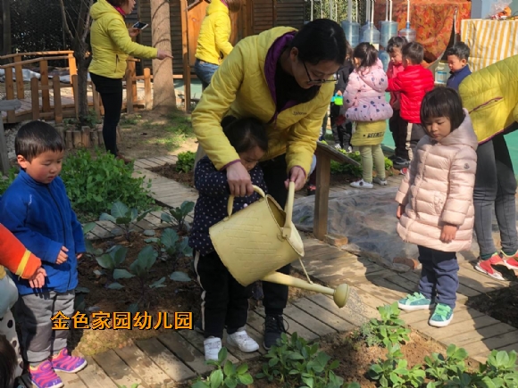 附件：IMG_5408.JPG