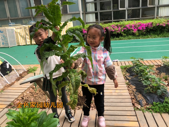 附件：IMG_8263(20210422-134215).JPG