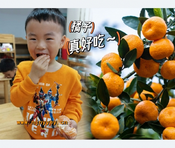 附件：Screenshot_20231102_183829_com.huawei.photos_edit.jpg