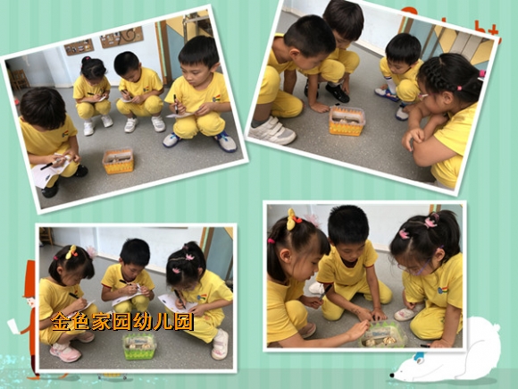 附件：b2.jpg
