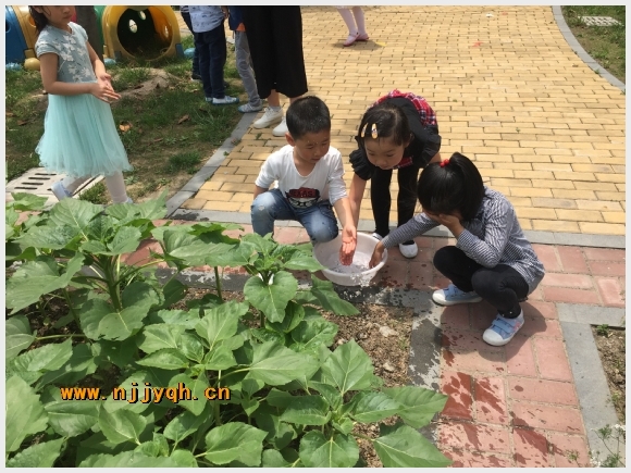 建邺教育信息网