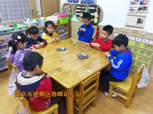 附件：IMG_20181106_154532.jpg