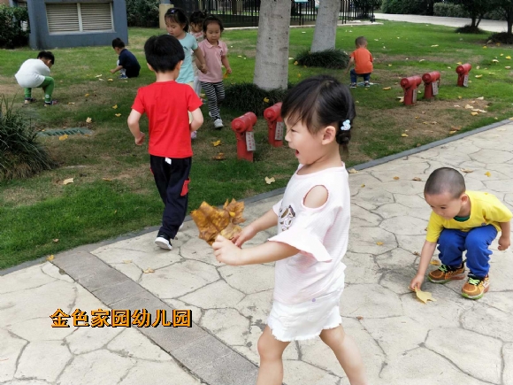 附件:IMG20180605094344.jpg 附件:IMG20180605094344.jpg