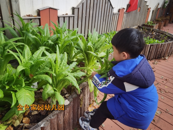 附件：IMG_20230407_152804.jpg