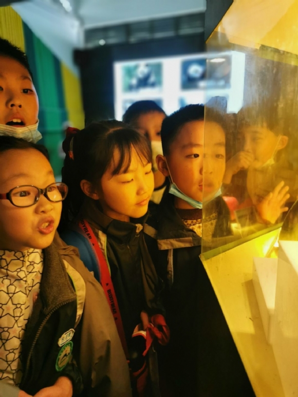 附件：QQ图片20210620072152.jpg