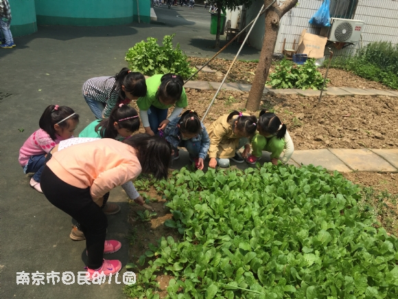 附件：IMG_7302.JPG