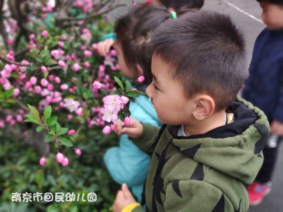 1553157662101041841.jpg QQ图片20190321150928.jpg