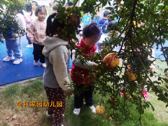 附件：CAA193A78499E857CED132912437DEB0.jpg